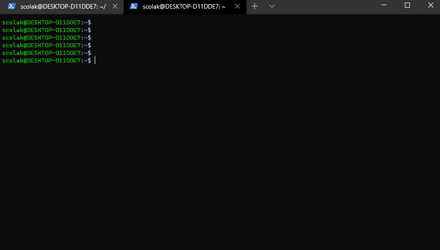 WSL2 üzerinden shell erişimi